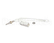104000207 Rinnai Kit, Hex Thermistor,R75/R94/V53I/