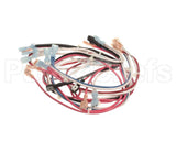 104189 Cleveland Harness, Wire, Conv Steamer; Ncc Timer