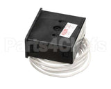 10500005 Blakeslee Thermometer