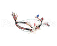 105000103 Rinnai Sensor Harness, Rc98Hpi