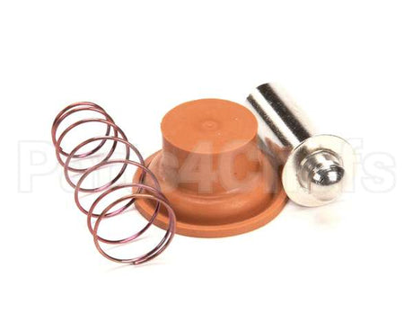1057.00009.00 Fetco Valve Rebuild Kit, Dsv10