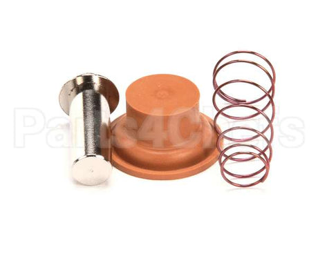 1057.00009.00 Fetco Valve Rebuild Kit, Dsv10