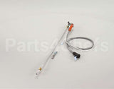 1061839SP Frymaster Assembly, Pilot Nat E Ig Contrl