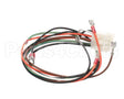 1062428SP Frymaster Wire Assembly,Cntr Box Dv/C1/Mrcry