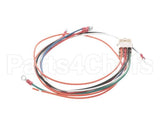 1063821SP Frymaster Harness,Xfrm/Fltr Box 2 Fpp252