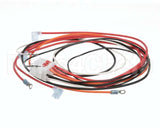1064899 Frymaster Harness,Control W/ Cnstnt Plt