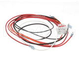 1064899 Frymaster Harness,Control W/ Cnstnt Plt