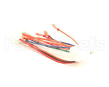 1065750SP Frymaster Harness Assembly, Re Fv Controls