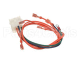 1065980SP Frymaster Harness Assembly,Re Dv Contactor Cntrbx