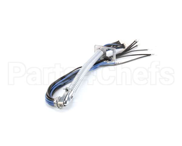 1066036SP Frymaster Harness Assembly, Re Rh Element