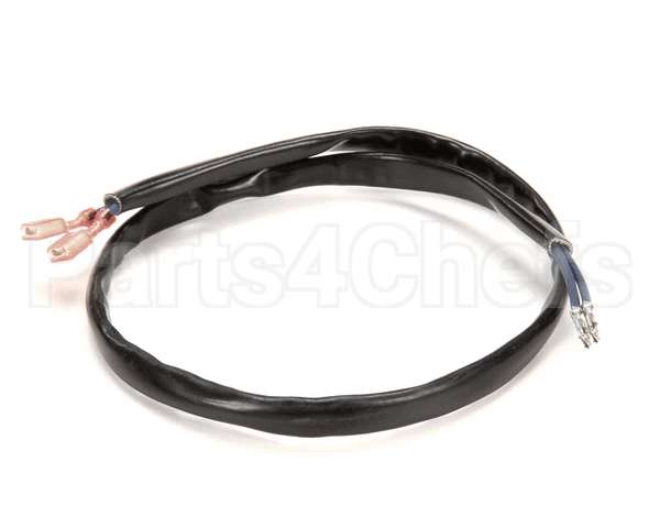 1066338 Frymaster Harness Assembly, Drain Switch Fb
