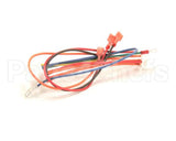 1066639SP Frymaster Harness, Re Epri Fv Controls