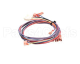 1068425 Frymaster Wire Assembly,Temp Control To Interf