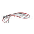 1080656 Compatible Frymaster Ais Rtd Probe And Harness Pos1