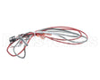 1080656 Frymaster Ais Rtd Probe And Harness Pos1
