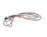 1080656 Frymaster Ais Rtd Probe And Harness Pos1
