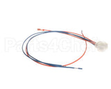 1081728 Frymaster Harness, T-Box Filter Pump