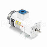 108231 Leeson Motor