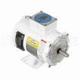 108423 Leeson Motor