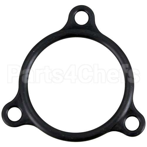 109985 Compatible Champion Heater Flange Seal
