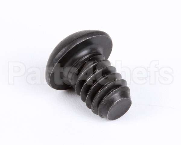 1107 Globe Roller Retaining Screw