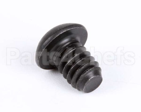 1107 Globe Roller Retaining Screw