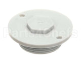 110755 Champion - Moyer Diebel Drain Plug,Ng