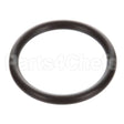 111607 Compatible Champion O-Ring, Drain Klein