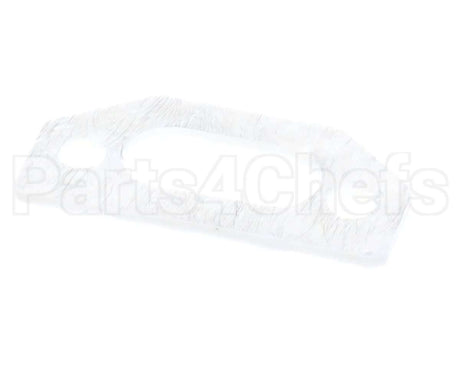 111791 Pvi Ignitor Gasket