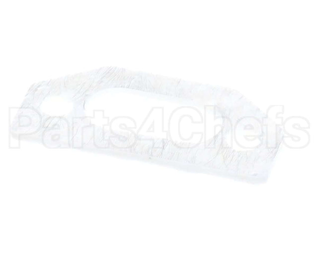 111791 Pvi Ignitor Gasket