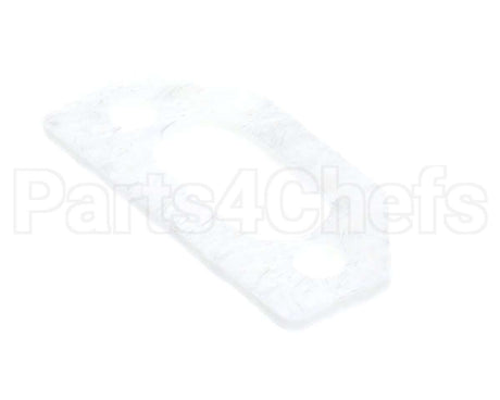 111791 Pvi Ignitor Gasket