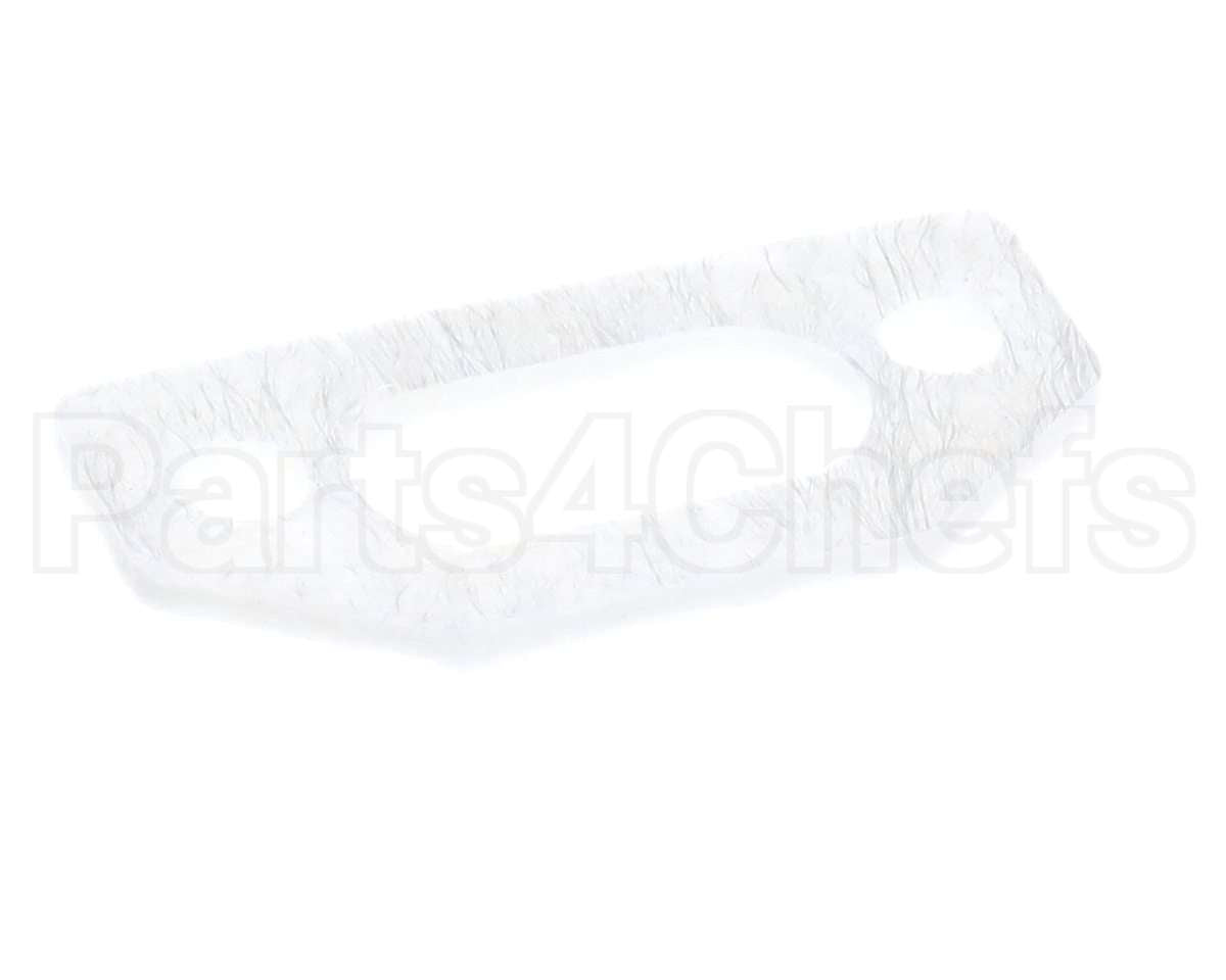 111791 Pvi Ignitor Gasket