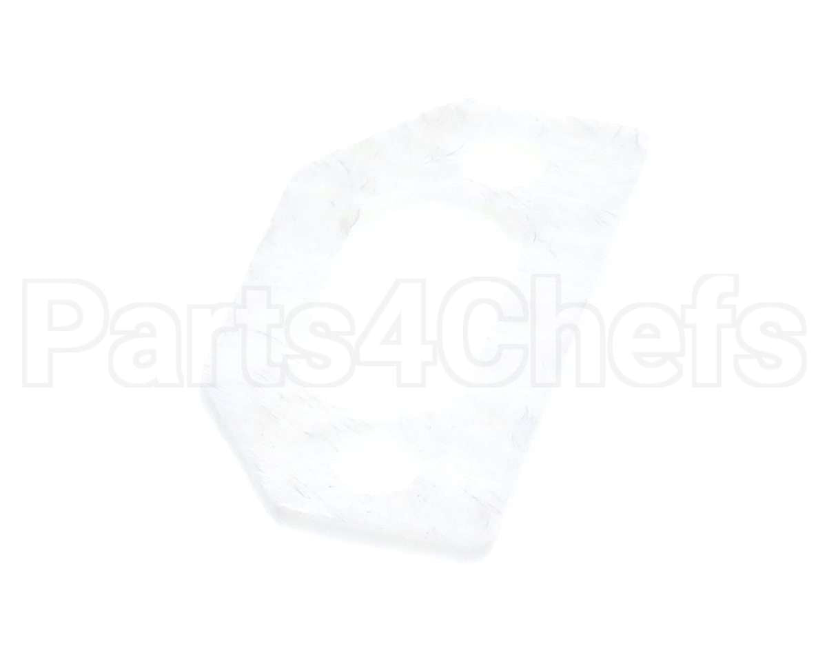 111791 Pvi Ignitor Gasket