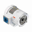 112429 Leeson Motor