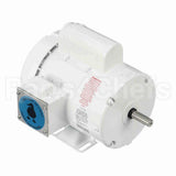112432 Leeson Motor