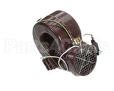 113-CVK World Dryer Heating Element 120V 20A Conve