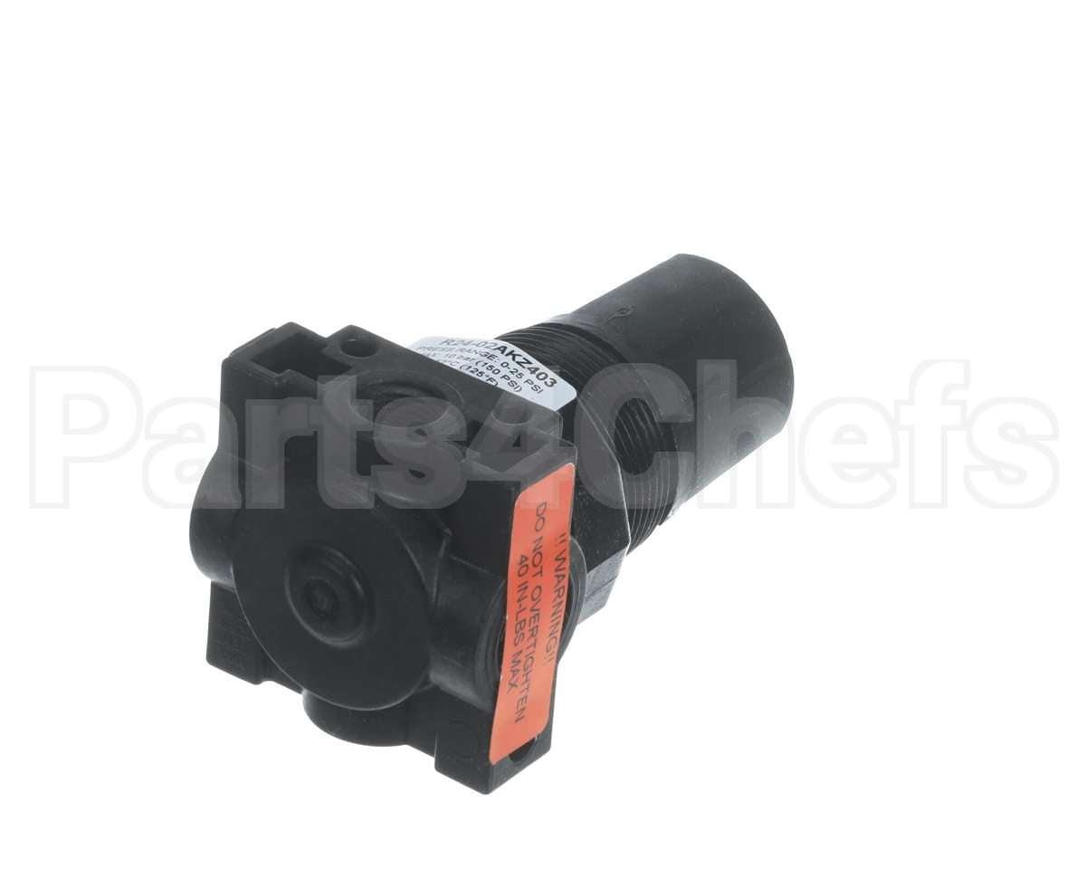 113229 Convotherm Regulator;Press;0-60 Psig Plstc Body