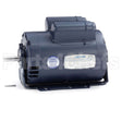 113373 Leeson Motor