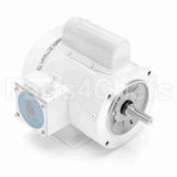 113581 Leeson Motor