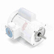113583 Leeson Motor