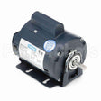 113643 Leeson Motor