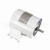113649 Leeson Motor