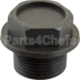 113943 Compatible Champion Plug, Plastic 3/4"Npt