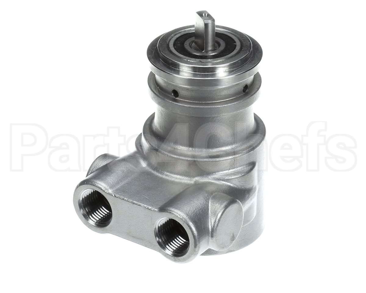 113A100F31XX Multiplex Carb Pump Ss 100 Gph No Strain