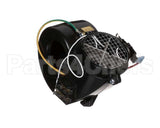 113A4-CVK World Dryer Heating Elemnt 208/230V 10A Cn