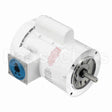 114317 Leeson Motor