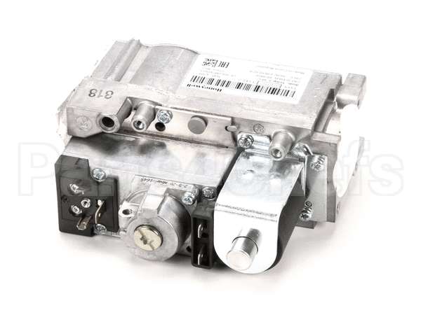 114505 Groen Valve, Gas (G20/G25 Gas)