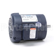 114891 Leeson Motor