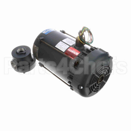 116183 Leeson Motor