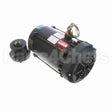 116183 Leeson Motor